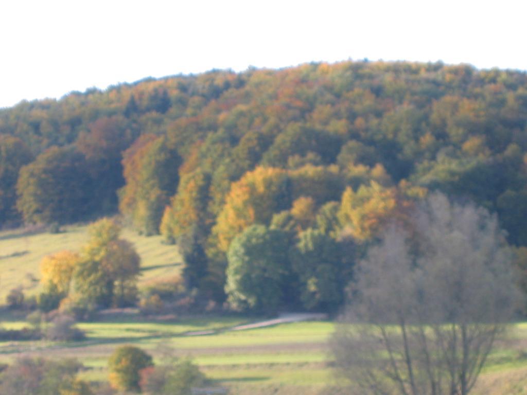 Gasthof Zum Lamm Gomadingen Luaran gambar